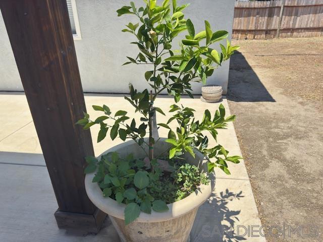 328 Via Ramona, Paso Robles CA: https://media.crmls.org/mediaz/21695781-2fe4-4a6e-84d8-7169a4ce8d75.jpg