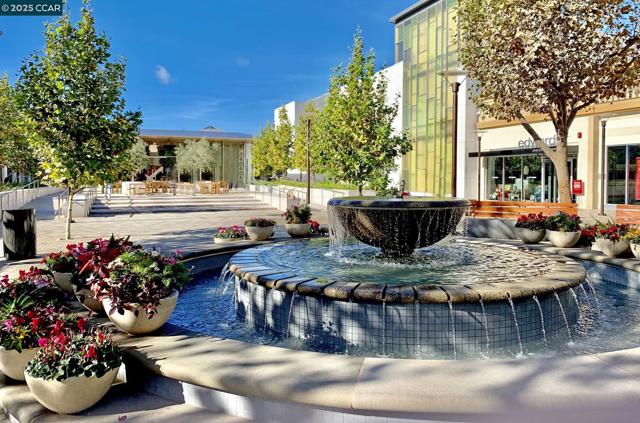 1800 Alma Ave, Walnut Creek CA: https://media.crmls.org/mediaz/21700db9-5d5d-4a87-bd15-f36fe194de52.jpg