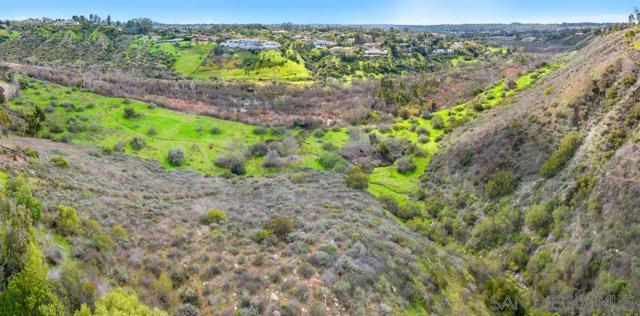 16574 Zumaque, Rancho Santa Fe CA: https://media.crmls.org/mediaz/21758ab9-1348-46af-bbfc-70bc8ba9feb4.jpg