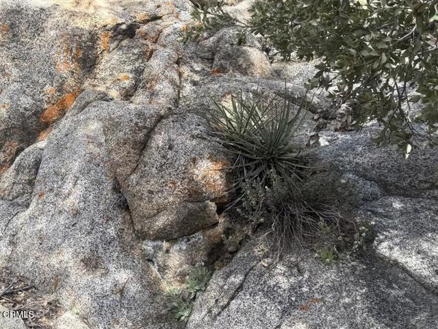 Detail Gallery Image 61 of 64 For 8275 Jawbone Canyon Rd, Weldon,  CA 93283 - 4 Beds | 0 Baths