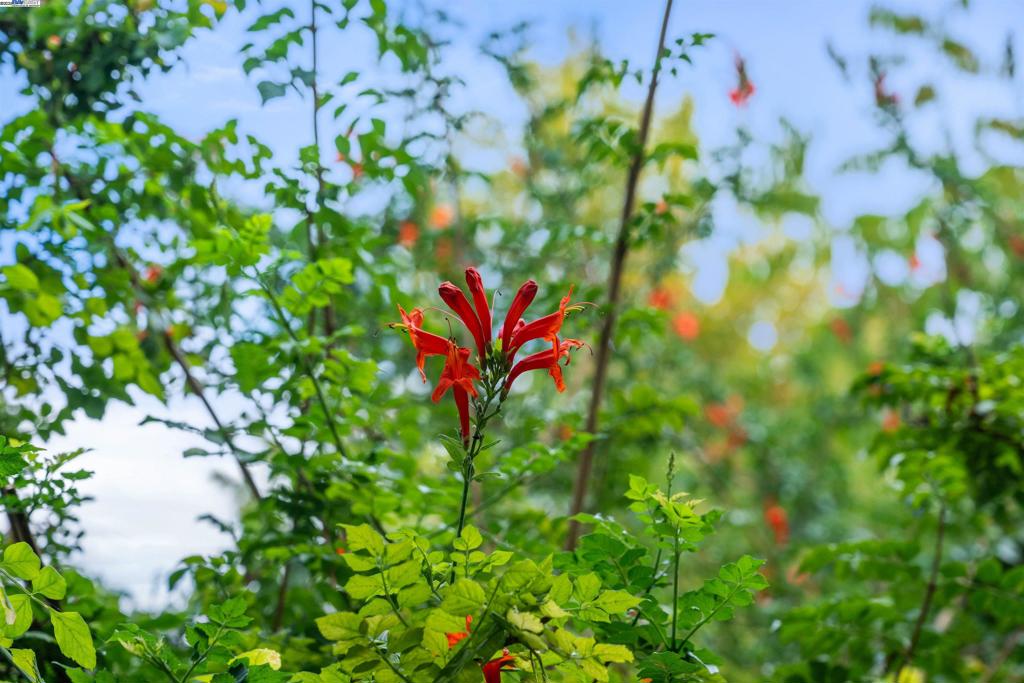 https://media.crmls.org/mediaz/2177be24-64e4-4d80-b21a-29e8ca011ca5.jpg?preset=X-Large