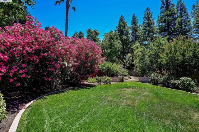 96 Trixie Dr, Livermore CA: https://media.crmls.org/mediaz/2183bc17-948c-4c76-8aeb-a2bbe2e30d97.jpg