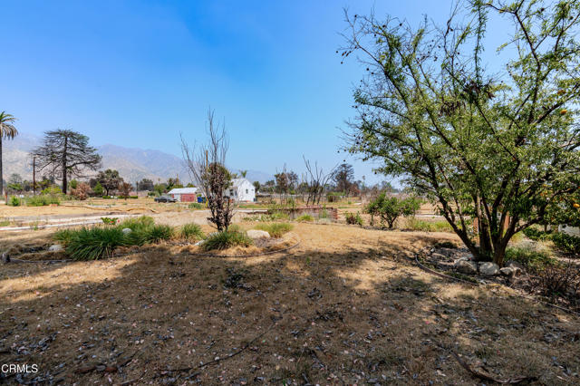 Detail Gallery Image 12 of 20 For 2836 Glenrose Ave, Altadena,  CA 91001 - – Beds | – Baths