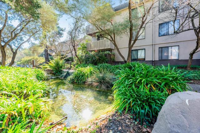 3154 Shelter Creek Lane, San Bruno CA: https://media.crmls.org/mediaz/218d790a-4134-42f1-b628-a9bce3c4a7bf.jpg