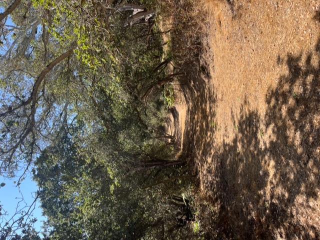 0 Castroville Boulevard, Salinas CA: https://media.crmls.org/mediaz/21969a07-d55e-4028-8cd9-4547424685e2.jpg