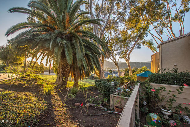 Back Patio View at Sunset