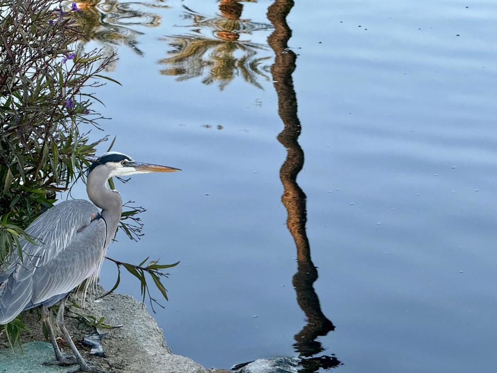https://media.crmls.org/mediaz/219810f8-6414-429e-968d-68d940a211bc.jpg?preset=X-Large