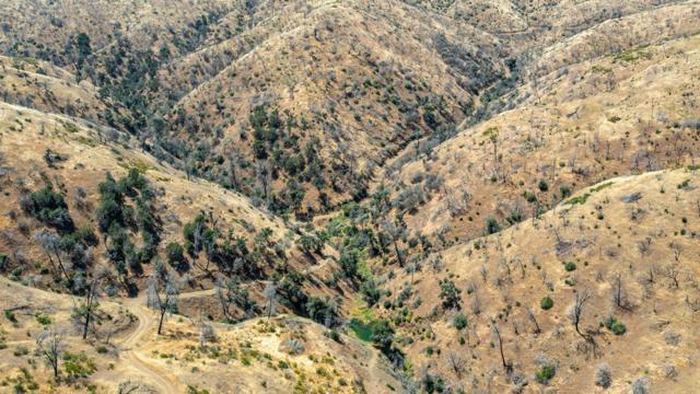 14600 Del Puerto Canyon Road, Newman CA: https://media.crmls.org/mediaz/219af000-7d31-46d1-ab80-dc1bbfa5c3ba.jpg