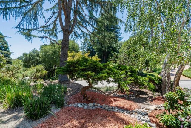 29 Kite Hill Road, Santa Cruz CA: https://media.crmls.org/mediaz/219c0cb3-093f-49c7-b28f-32343ee4025f.jpg