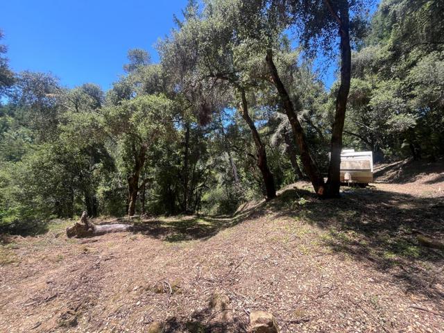 0 Deer Creek (Lot 21), Boulder Creek CA: https://media.crmls.org/mediaz/219c8c7e-416b-48fd-85a8-0cf567f5f402.jpg
