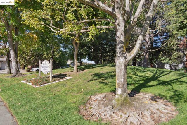 1893 Shirley Dr, Benicia CA: https://media.crmls.org/mediaz/219e8cde-6736-4230-b461-235a4c08f089.jpg
