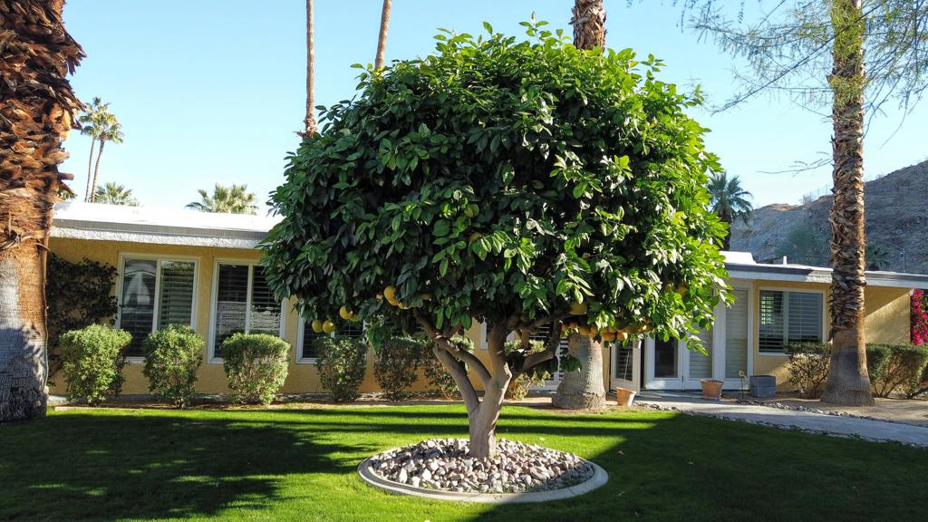 Thunderbird Homes For Sale Thunderbird Rancho Mirage Real Estate Zerodown