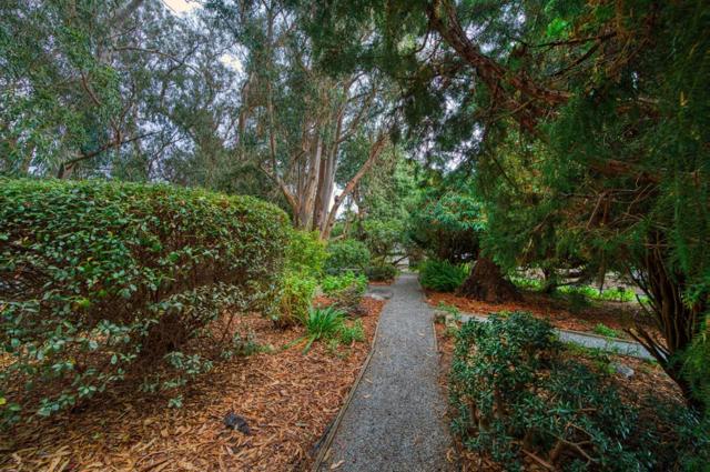 2655 Brommer Street, Santa Cruz CA: https://media.crmls.org/mediaz/21a7939e-2b1f-494a-a30c-73333d6a6e7f.jpg