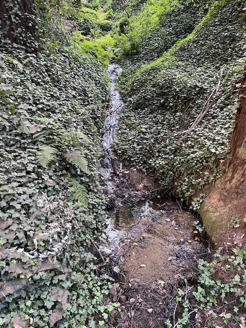 133 Western Avenue, Brookdale CA: https://media.crmls.org/mediaz/21aa35d8-90d8-48e2-9d5f-ba84ed71e8d3.jpg