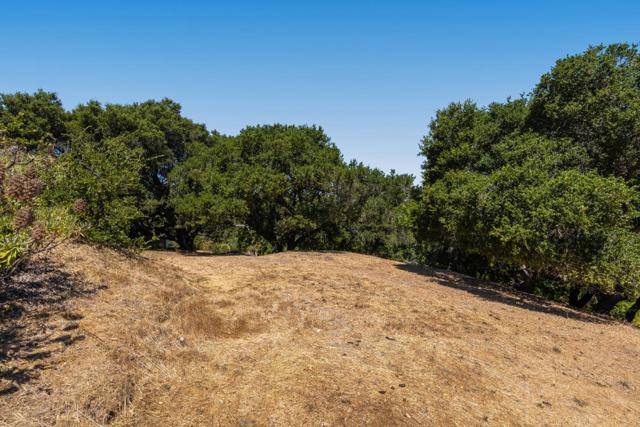 0 Eugenia, Hillsborough CA: https://media.crmls.org/mediaz/21ba1ab8-9345-48ab-97ea-f02182ba4c69.jpg