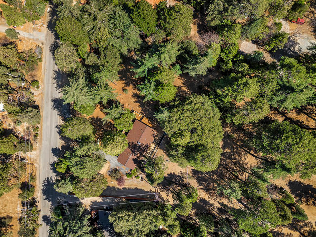 52551 Pine Ridge Road, Idyllwild CA: https://media.crmls.org/mediaz/21bb0d0c-0487-4682-acec-3eaf9c96c5c0.jpg