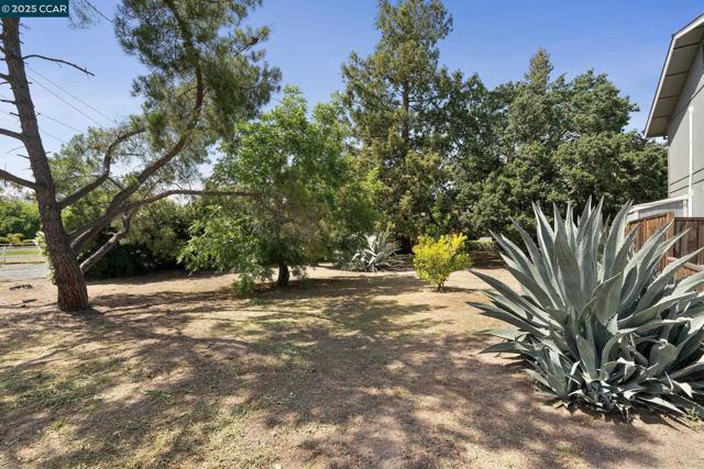 1580 3rd Ave, Walnut Creek CA: https://media.crmls.org/mediaz/21c862c3-2150-42d5-870a-0ddd0ed3fd07.jpg