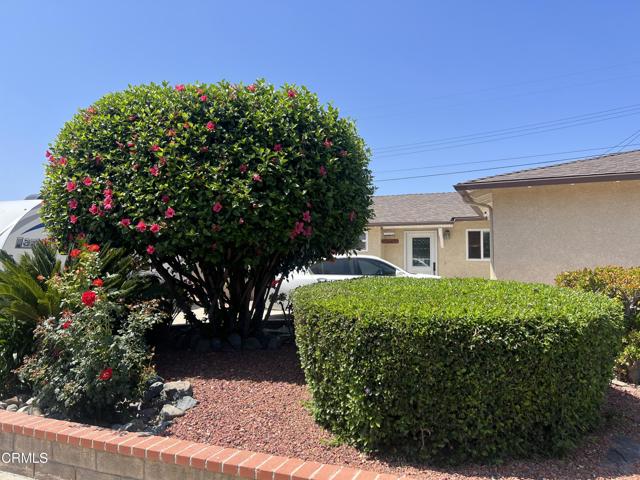 285 Second Street, Moorpark CA: https://media.crmls.org/mediaz/21cdc5a5-bf62-4853-8d3d-04aa5bfff872.jpg