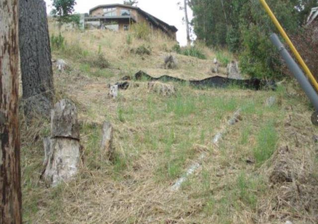 MLS #ML82026086 image #7