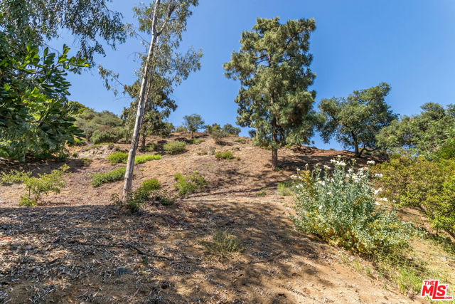8783 Lookout Mountain Avenue, Los Angeles CA: https://media.crmls.org/mediaz/21d61b7f-0053-428e-bb74-1fd5792670ae.jpg