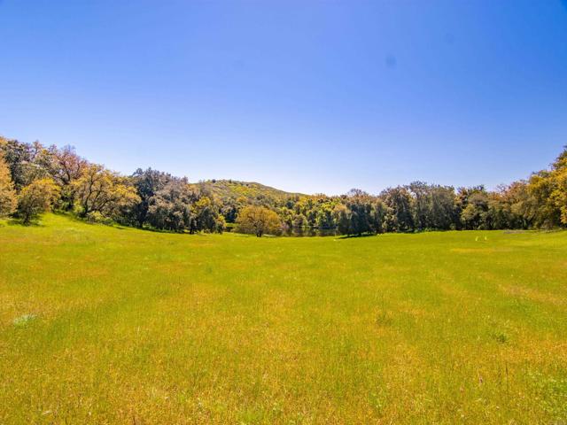 Detail Gallery Image 39 of 42 For 342 Acres Mesa Grande Rd, Santa Ysabel,  CA 92070 - – Beds | – Baths