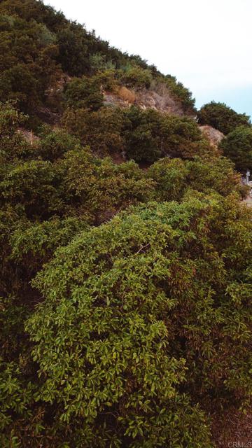 Detail Gallery Image 14 of 18 For 1411 Wild Acres Rd., Vista,  CA 92084 - – Beds | – Baths