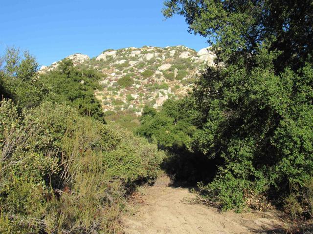 Detail Gallery Image 12 of 19 For 2115 N Campo Truck Trail, Campo,  CA 91906 - – Beds | – Baths