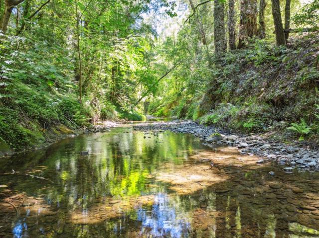 200 Shady Lane, Boulder Creek CA: https://media.crmls.org/mediaz/21eb2b21-0ea0-4016-aa90-266bc3b5f1f3.jpg