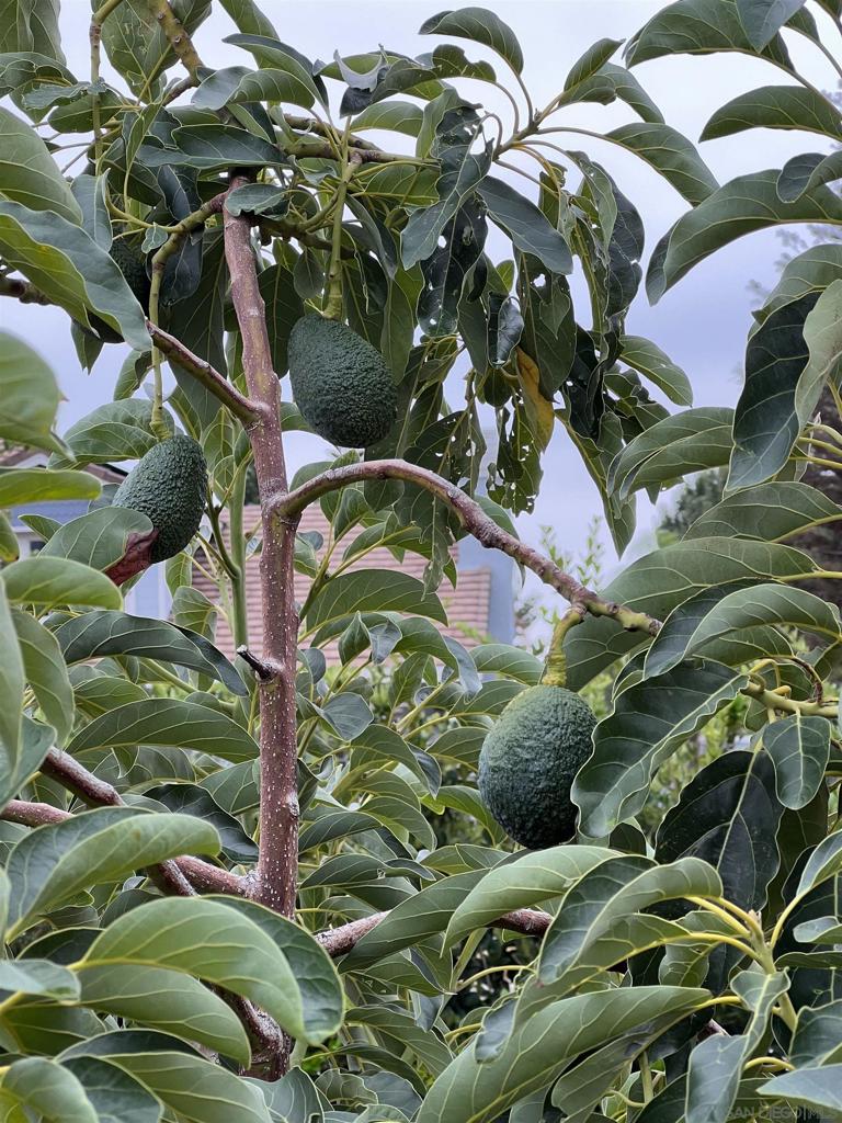 https://media.crmls.org/mediaz/21efb31c-e99b-48e2-9165-61a8be8aedcd.jpg?preset=X-Large