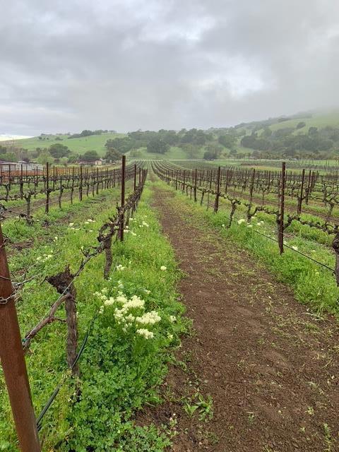Image 11 of 15 For 3970 Leavesley Road