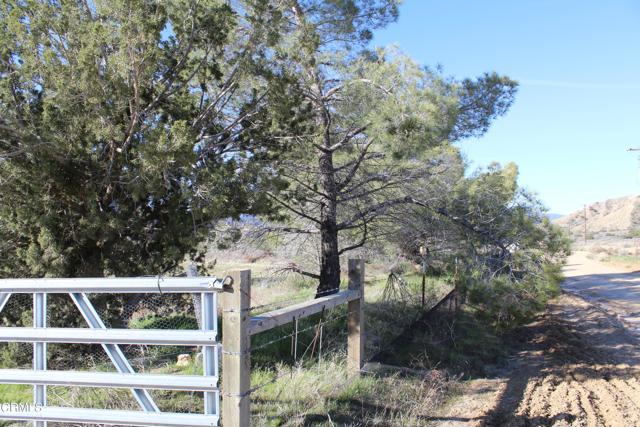 Detail Gallery Image 3 of 41 For 4190 Quatal Canyon Rd, Maricopa,  CA 93252 - – Beds | – Baths