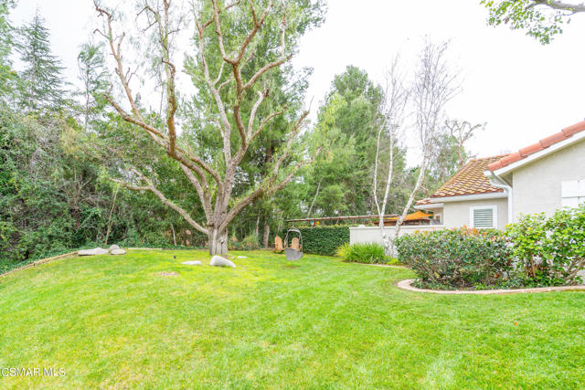 2653 Via Zurita Ct-42