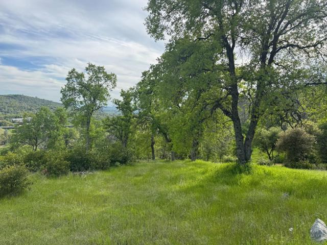 0 Cabezut Road, Sonora CA: https://media.crmls.org/mediaz/221476cc-2970-40d8-ba51-26ea43542a0c.jpg