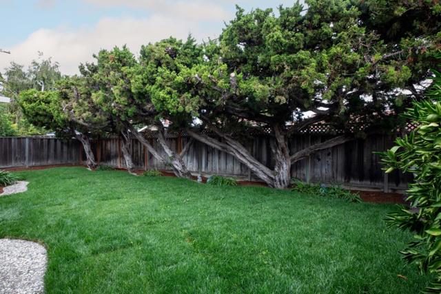2223 Dianne Drive, Santa Clara CA: https://media.crmls.org/mediaz/22152185-64d6-4af4-8793-6e6bdaf3749b.jpg