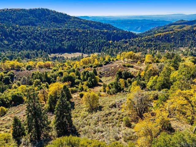 Detail Gallery Image 20 of 33 For 0 State Park Rd, Palomar Mountain,  CA 92060 - – Beds | – Baths