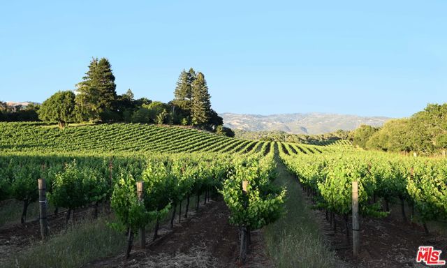 7596 Sonoma Mountain Road,  CA: https://media.crmls.org/mediaz/222b0270-1200-42f8-91f8-eed9ba79f835.jpg