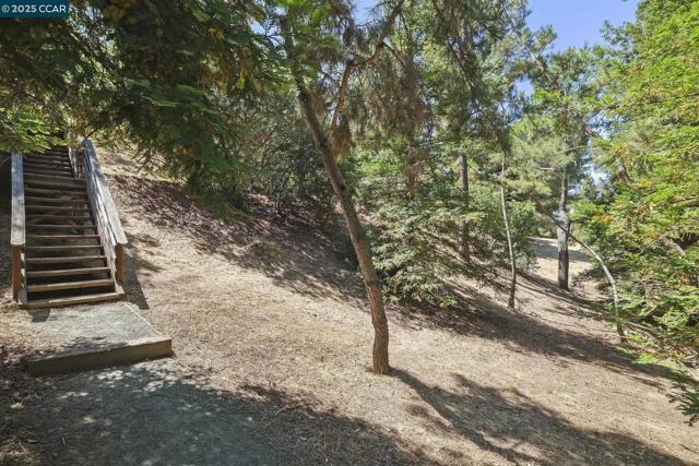 2510 Tea Tree Ct, Martinez CA: https://media.crmls.org/mediaz/22304541-89df-4c87-85c9-ba5a88b02663.jpg