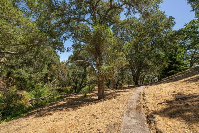 333 Raymundo Drive, Woodside CA: https://media.crmls.org/mediaz/22322ac6-4760-4c9f-a534-7c793c94821c.jpg