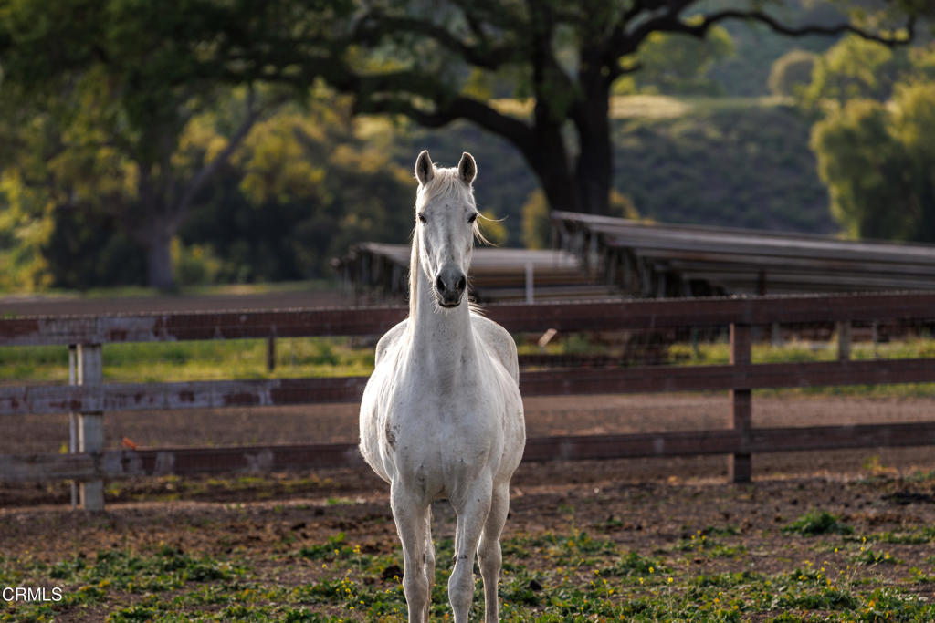 22366E9C 760A 449A 96E1 0179479Fa1Ce 3325 Figueroa Mountain Road, Los Olivos, Ca 93441 &Lt;Span Style='BackgroundColor:transparent;Padding:0Px;'&Gt; &Lt;Small&Gt; &Lt;I&Gt; &Lt;/I&Gt; &Lt;/Small&Gt;&Lt;/Span&Gt;