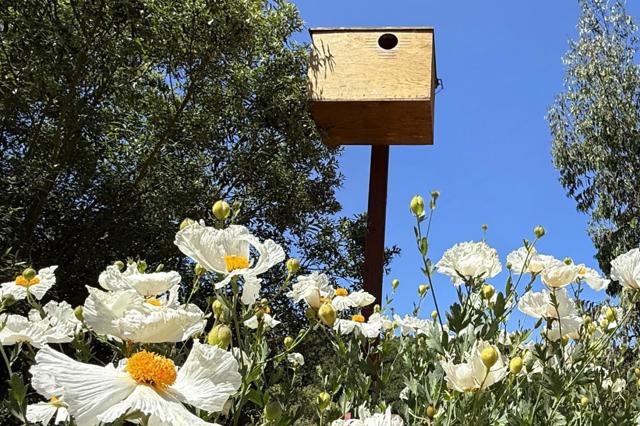 122 Strawberry Canyon Road,  CA: https://media.crmls.org/mediaz/223b8290-5058-4484-b6e8-9f56c01d0f4f.jpg