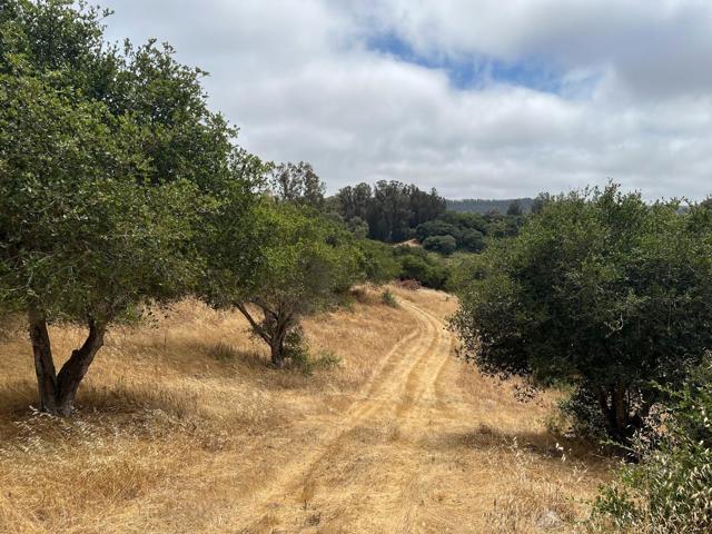 3230 Hillman Lane, Royal Oaks CA: https://media.crmls.org/mediaz/2248e355-a54f-4eef-822e-2d929ab80417.jpg