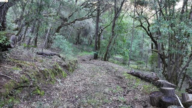 5051 Harrison Grade Rd, Sebastopol CA: https://media.crmls.org/mediaz/224aa113-9187-4664-8a79-9e8a1dea7b96.jpg