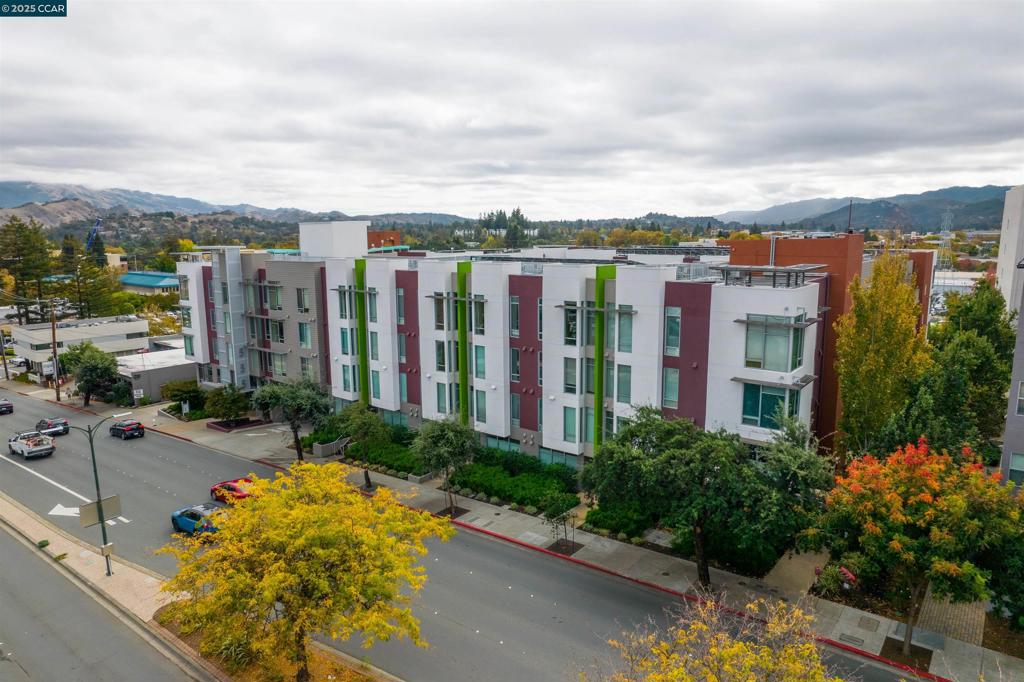 555 Ygnacio Valley Rd #204