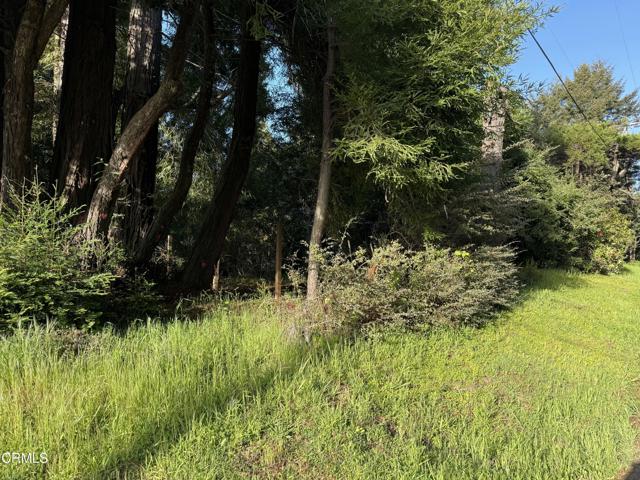31750 Pudding Creek Road, Fort Bragg CA: https://media.crmls.org/mediaz/224fe731-d33f-40ba-b949-85040e19e9e1.jpg