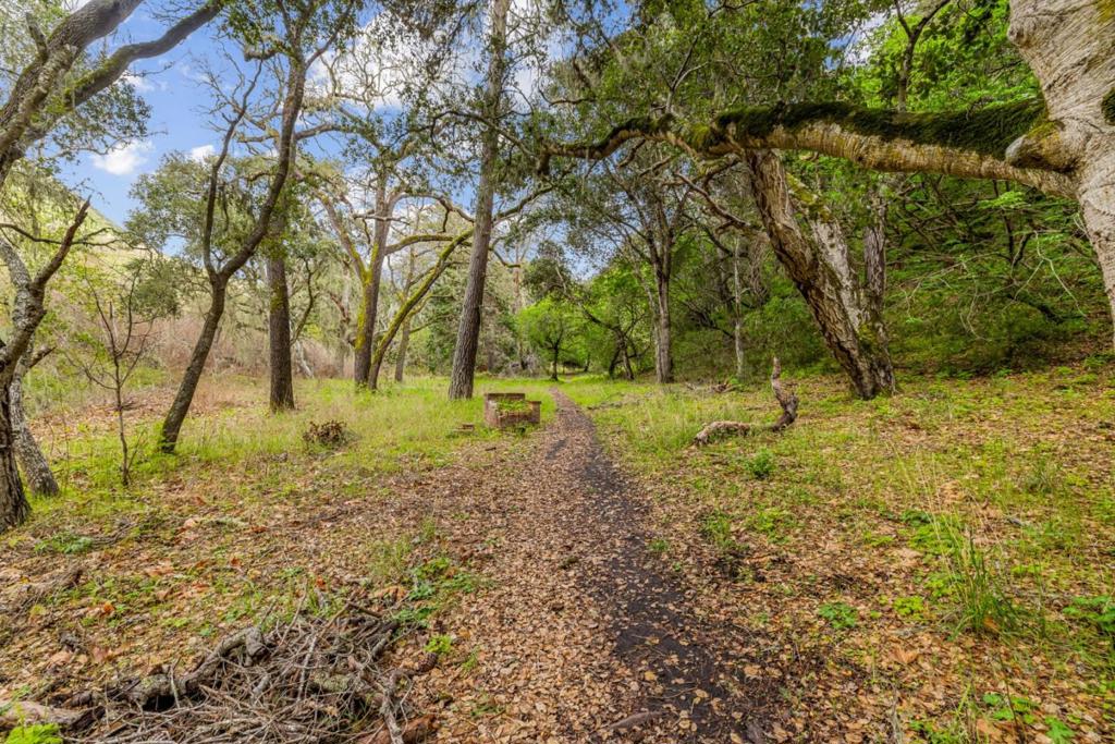 MLS #ML81998990 image #38