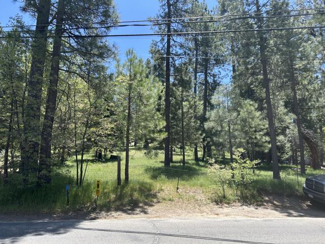 0 Tollgate Road, Idyllwild CA: https://media.crmls.org/mediaz/225b3d12-7474-400d-9f52-54135c7435f4.jpg
