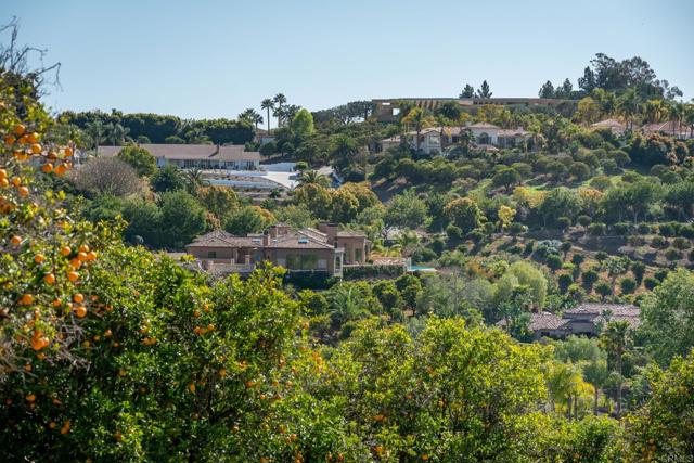 6241 Strada Fragante, Rancho Santa Fe CA: https://media.crmls.org/mediaz/22603e82-1768-4931-bb8e-32b6ad916d0b.jpg