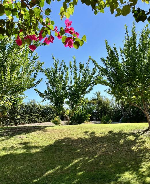 500 E Amado Road #723, Palm Springs, CA 92262