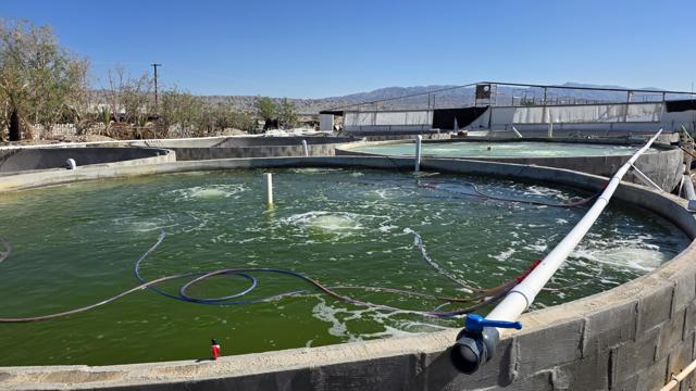 96400 70th Avenue, Thermal CA: https://media.crmls.org/mediaz/22627dcf-088c-4bb0-b259-bbabe28f3cb1.jpg