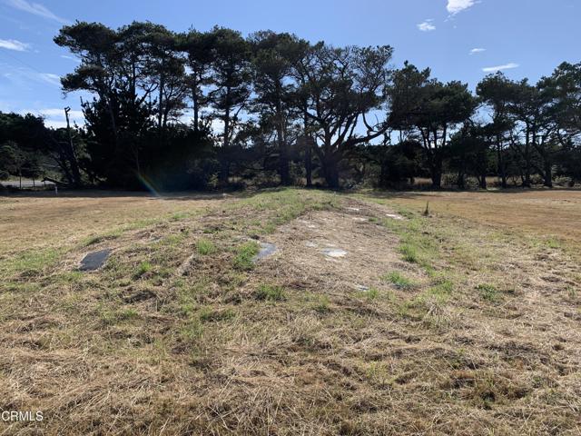 33031 Jefferson Way, Fort Bragg, California 95437, ,Land,For Sale,33031 Jefferson Way,CRC1-10036